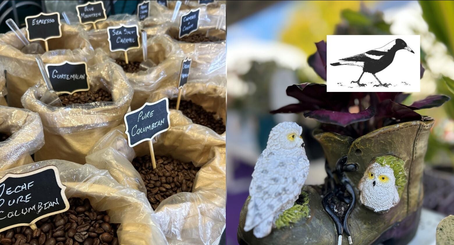 Magpie Up Style Market