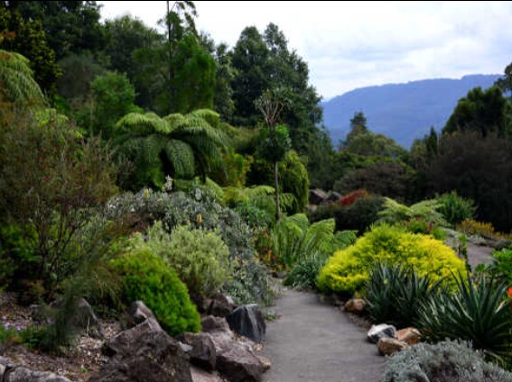 Mount Tomah Botanic Gardens (Botanic Gardens)