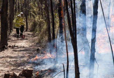 Another load arrives at the fireground, Wollemi National Park