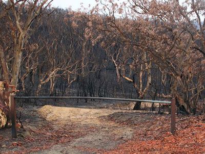 October Creek Gate