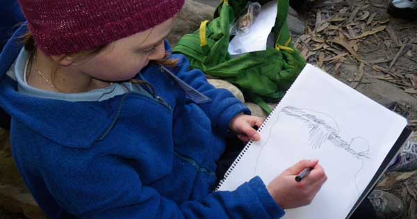 Mt York Bush Trackers