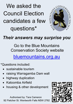 Gazette ad 17 November