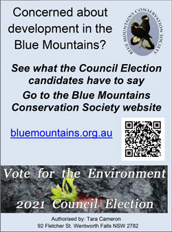 Gazette ad 17 November