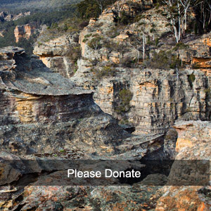 please donate
