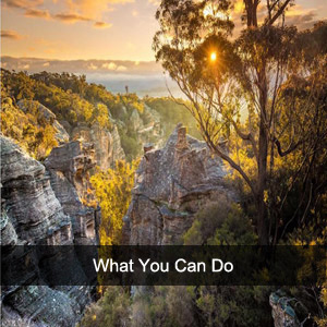 what you can do