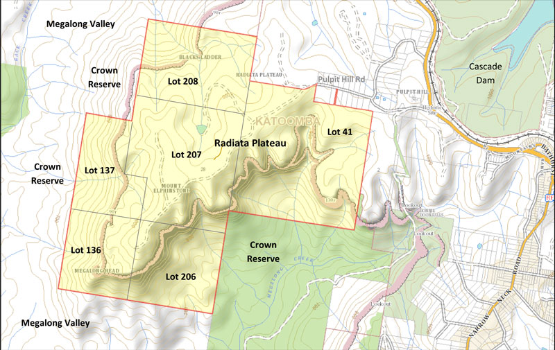 Radiata Plateau topo map